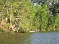  IMG_1355.JPG 