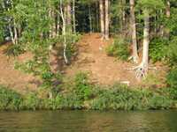  IMG_1356.JPG 
