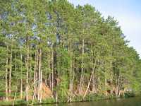  IMG_1357.JPG 