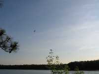  IMG_1363.JPG 