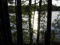  IMG_1364.JPG 