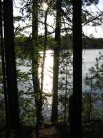  IMG_1365.JPG 
