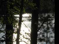  IMG_1366.JPG 