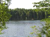  IMG_1368.JPG 