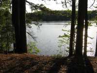  IMG_1369.JPG 