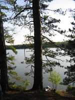  IMG_1370.JPG 