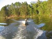  IMG_1375.JPG 