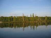  IMG_1390.JPG 