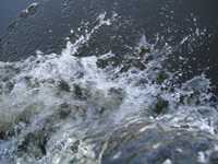  IMG_1395.JPG 