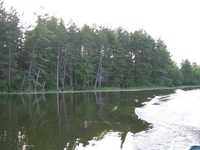  IMG_1397.JPG 