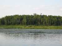  IMG_1400.JPG 