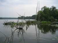  IMG_1407.JPG 