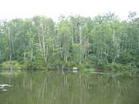  IMG_1411.JPG 