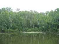  IMG_1412.JPG 