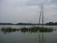  IMG_1414.JPG 