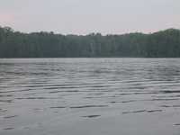  IMG_1421.JPG 