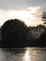  IMG_1427.JPG 