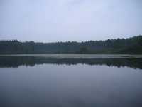  IMG_1459.JPG 