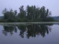  IMG_1461.JPG 