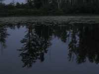  IMG_1462.JPG 