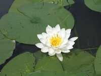  IMG_1475.JPG 