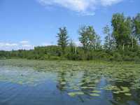  IMG_1487.JPG 