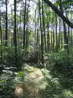  IMG_1508.JPG 