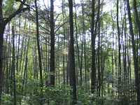  IMG_1510.JPG 