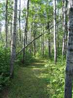  IMG_1520.JPG 