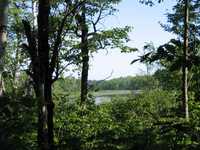  IMG_1525.JPG 