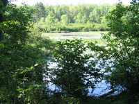  IMG_1529.JPG 