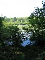 IMG_1532.JPG 