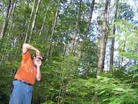  IMG_1542.JPG 