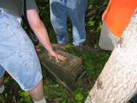  IMG_1543.JPG 