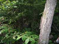  IMG_1544.JPG 