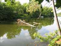  IMG_1547.JPG 