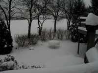  back_yard.jpg 