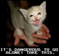  dangerous_to_go_alone.jpg 
