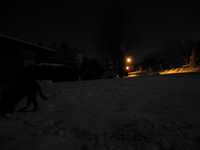  IMG_0547.JPG 