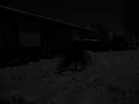  IMG_0548.JPG 