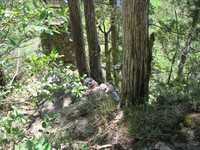  IMG_0887.JPG 